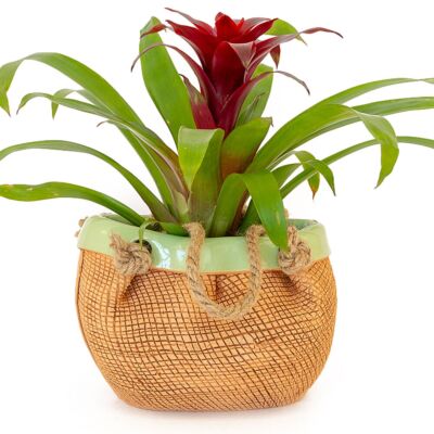 Wicker Pattern Handmade Ceramic Terracotta Decorative Cachepot