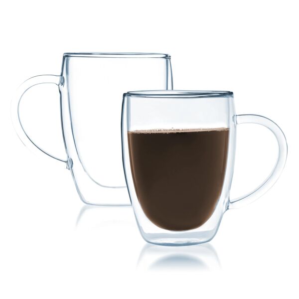 Double Wall Thermo Glass Mug