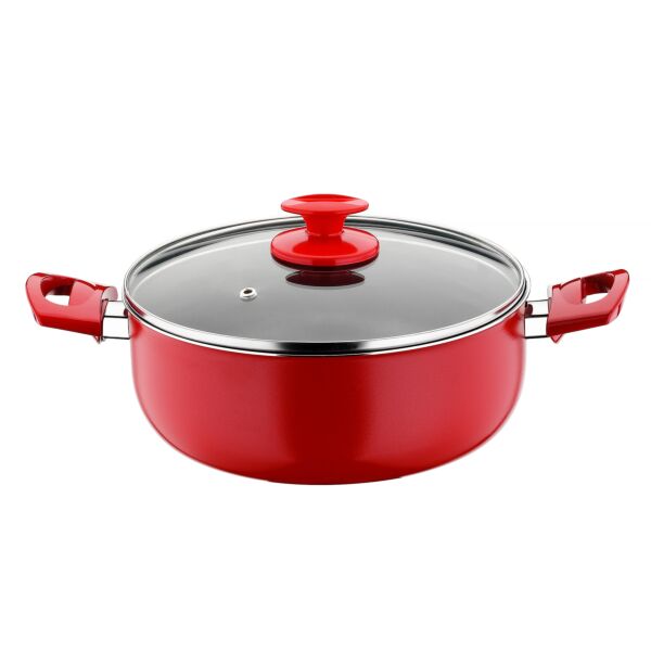 REDIO Non-Stick Stock Pot with Glass Lid