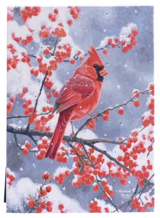 Red Winter Cardinal Light Up LED Painting