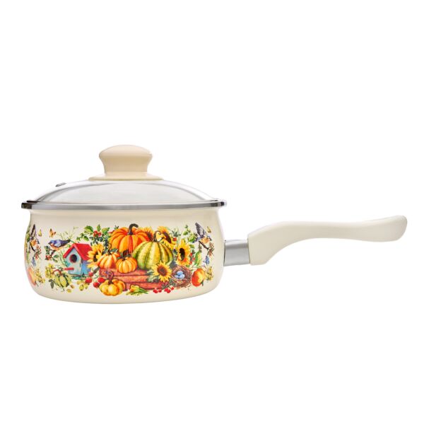 Pumpkin Enamel Saucepan with Glass Lid