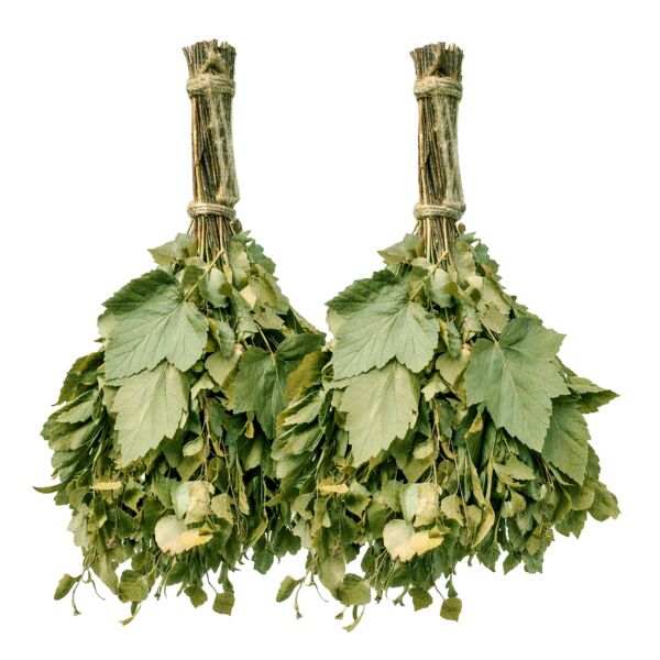 Birch and Black Currant Aroma Spa Sauna Massage Whisk Venik Set of 2