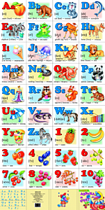 Abc and Numbers Poster