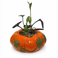 Large Pumpkin Handmade Ceramic Terracotta Decorative Cachepot