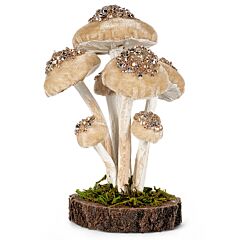 7.9" Сhampagne Mushrooms Christmas Decoration