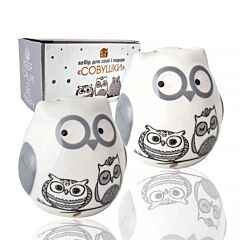 Owls Ceramic Salt and Pepper Shaker Set