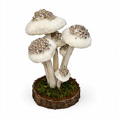  White Frosted Mushrooms Christmas Decoration 7.9"
