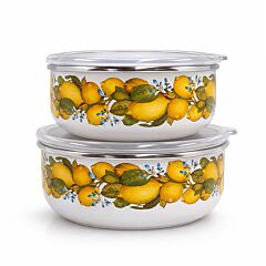 Juicy Lemons Vintage Enamel Stackable Storage Bowls Set of 2