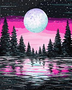 Full Moon Paint By Numbers Kit