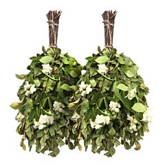 Birch and Jasmine Aroma Spa Sauna Massage Whisk Venik Set of 2
