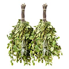 Birch and Sage Aroma Spa Sauna Massage Whisk Venik Set of 2