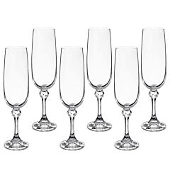Julia Champagne Glasses Set of 6