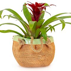 Wicker Pattern Handmade Ceramic Terracotta Decorative Cachepot