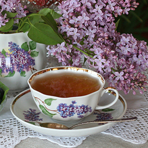 Dulevo Fine Porcelain