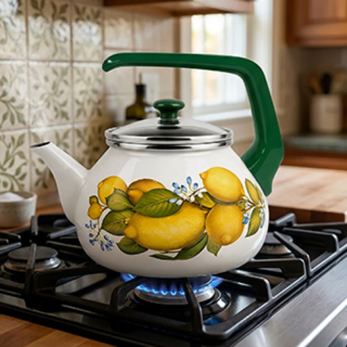 Enameled Cookware